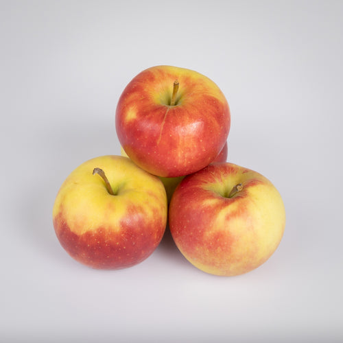Apfel 'Elstar'
