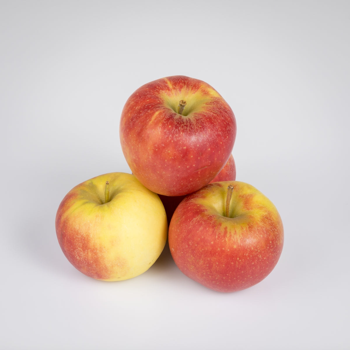 Apfel 'Jonagold'