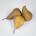 Birnen 'Alexander'