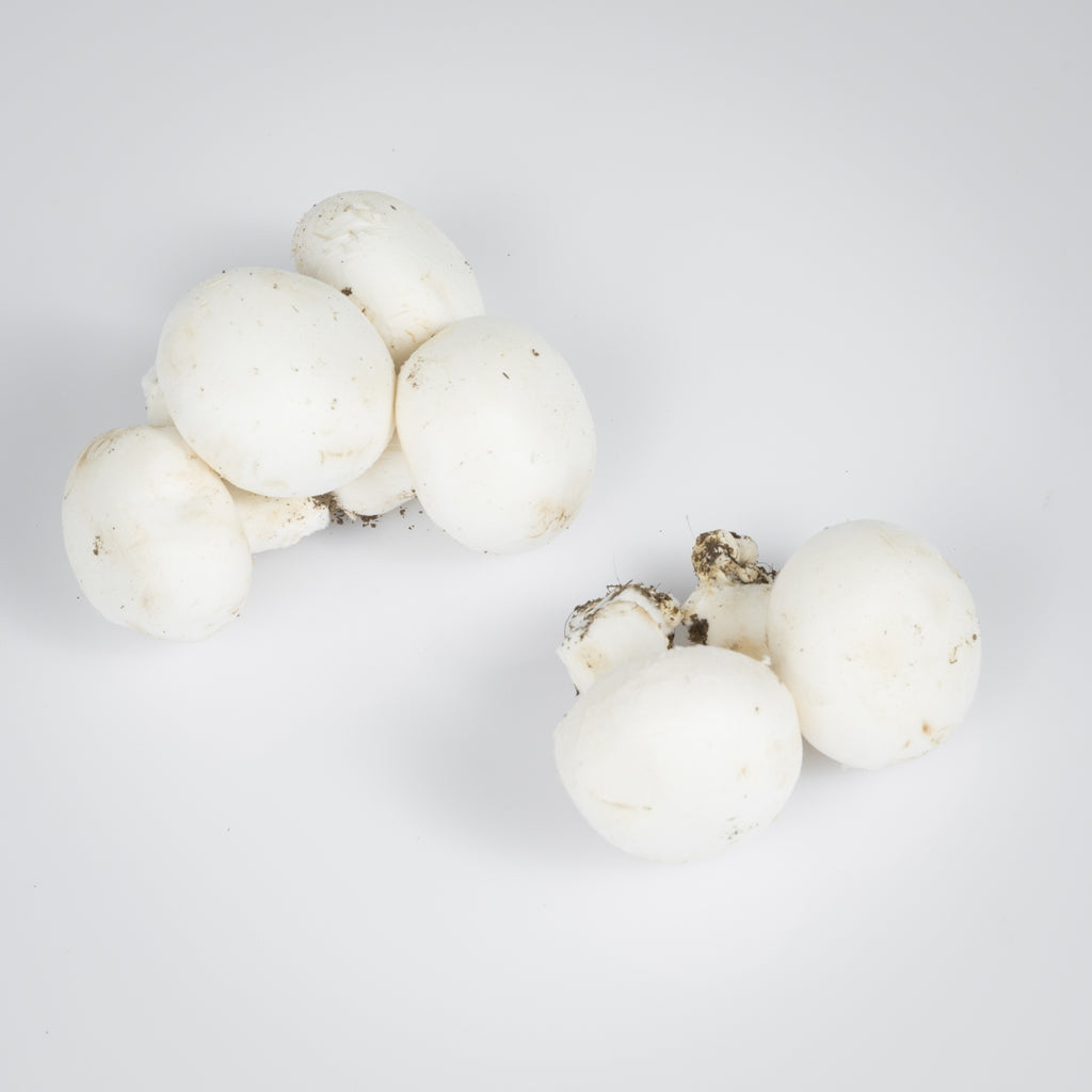 Champignon
