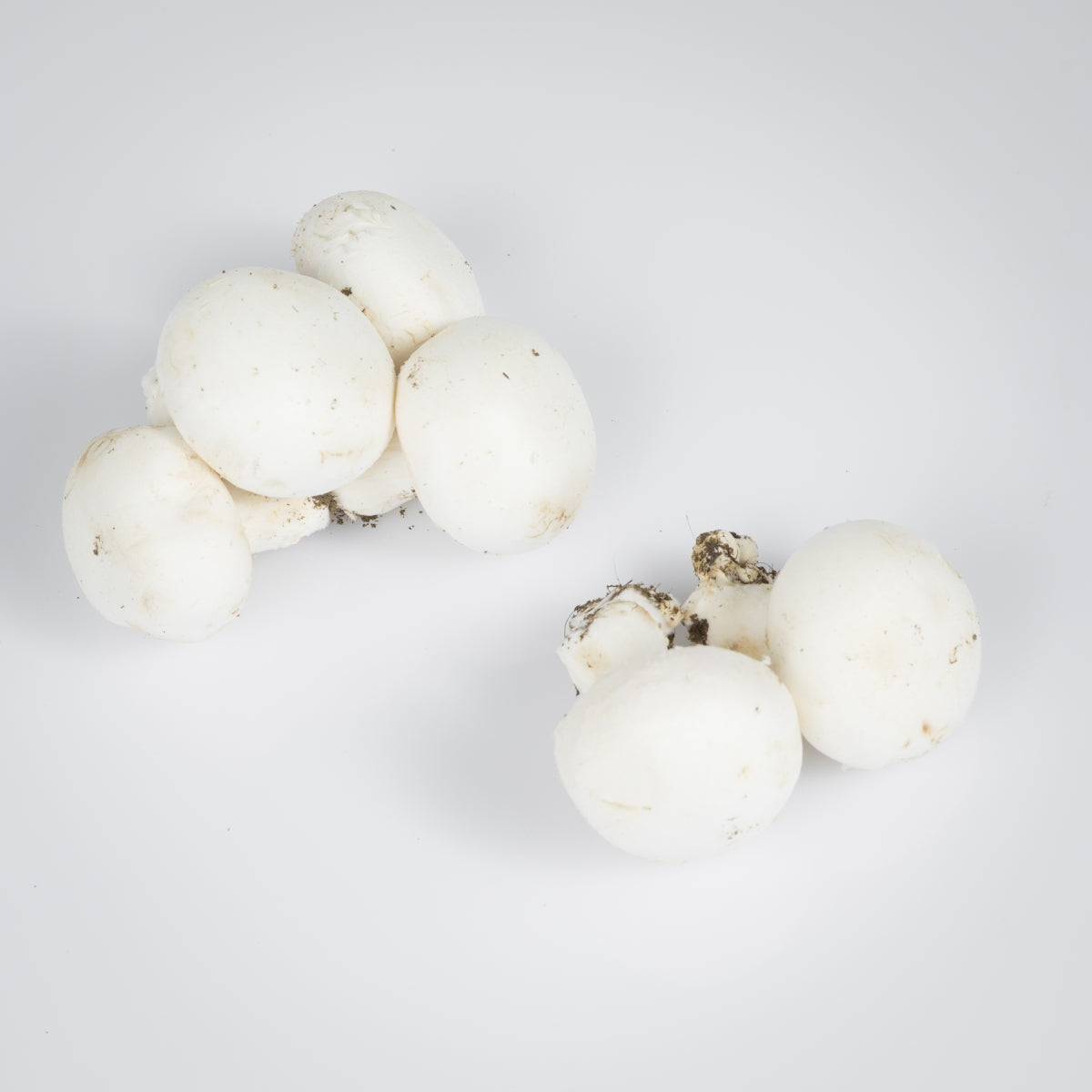 Champignon