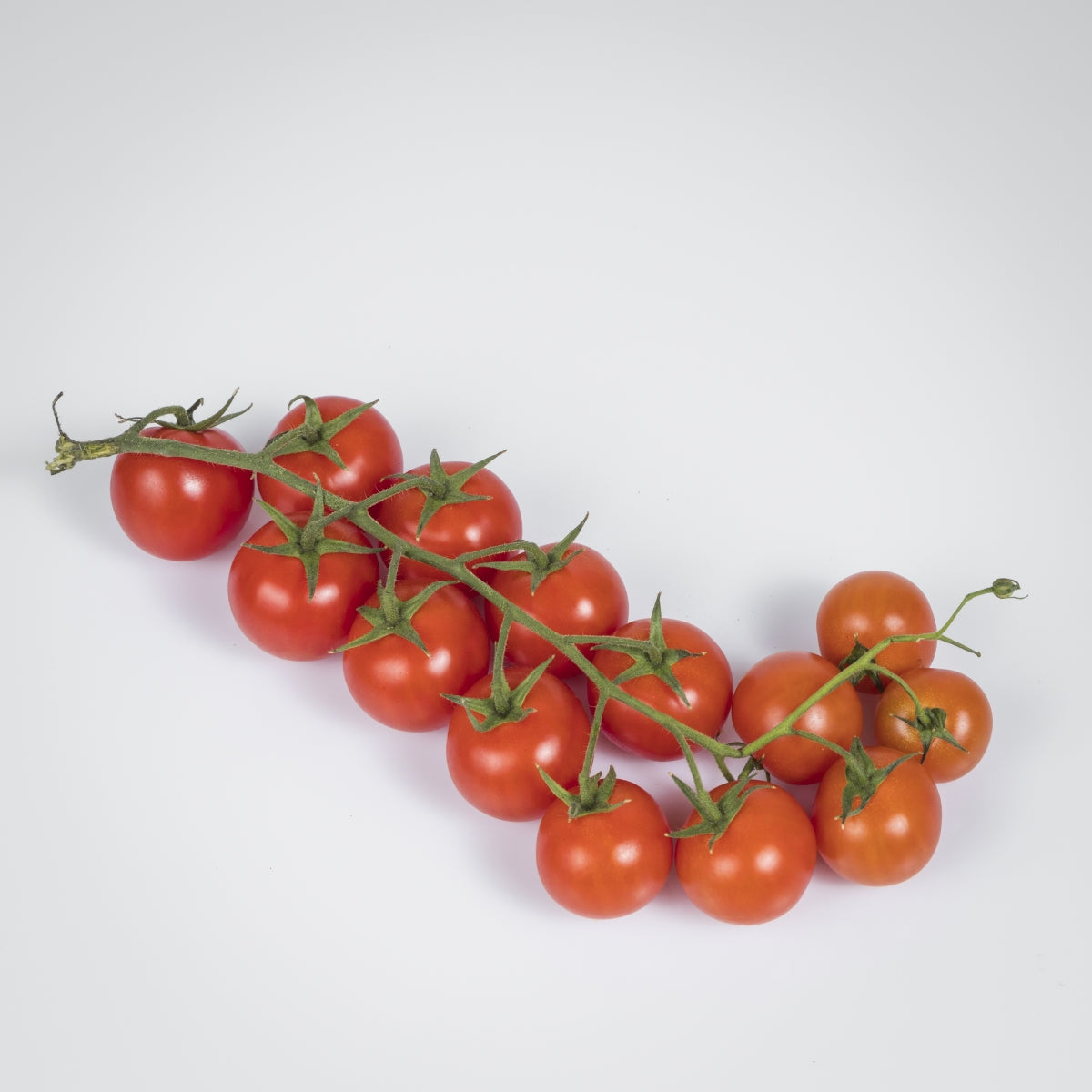 Tomaten 'Cherry'