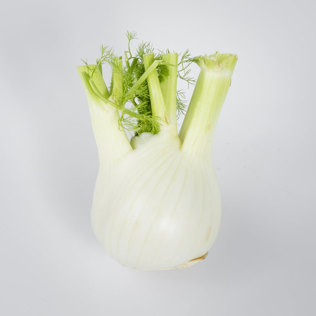 Fenchel