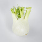 Fenchel