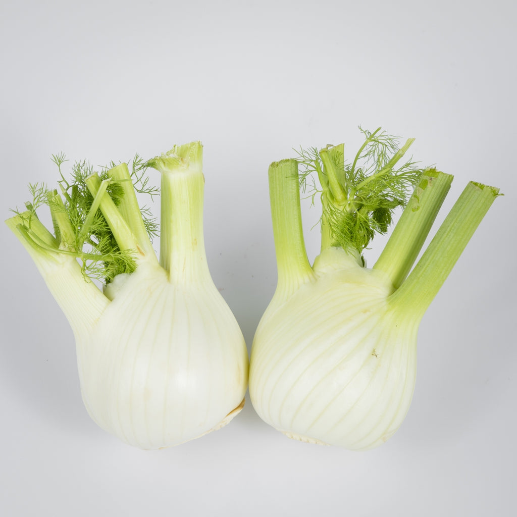 Fenchel