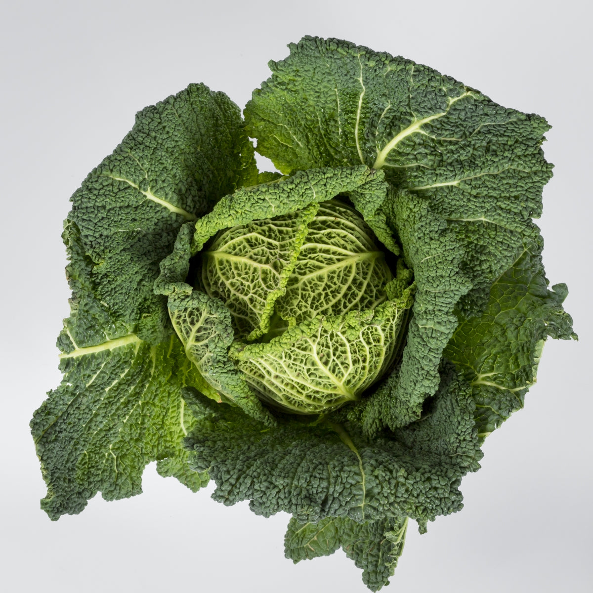 Kohl