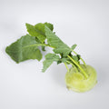 Kohlrabi