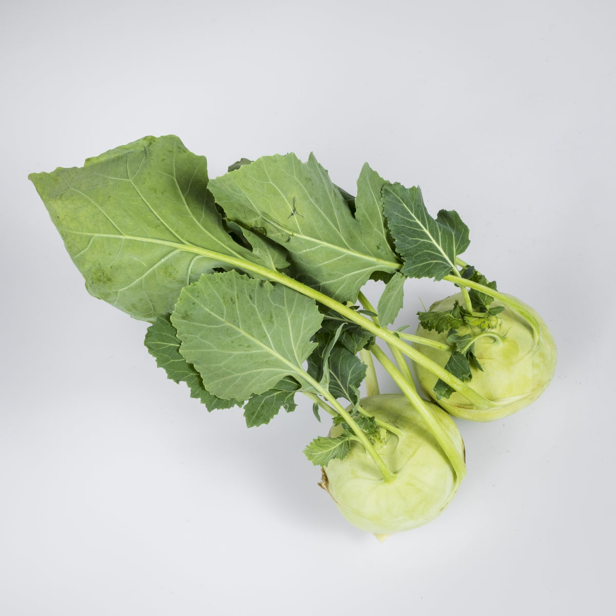 Kohlrabi