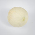 Zuckermelonen