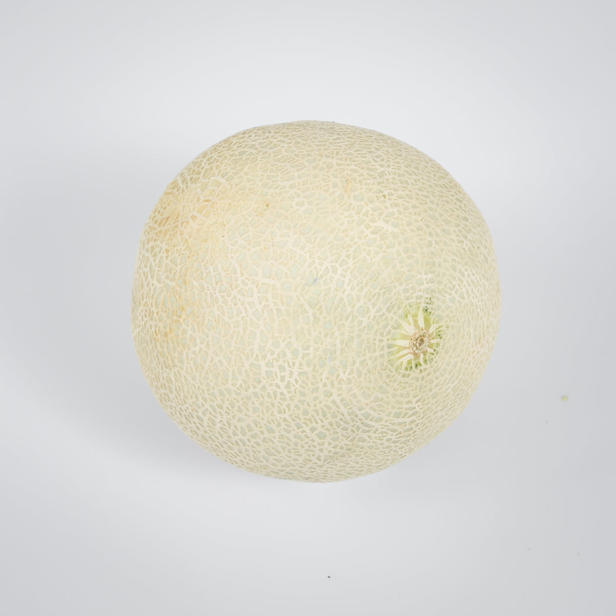 Zuckermelonen