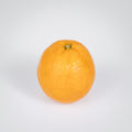 Orangen 'Dessert'