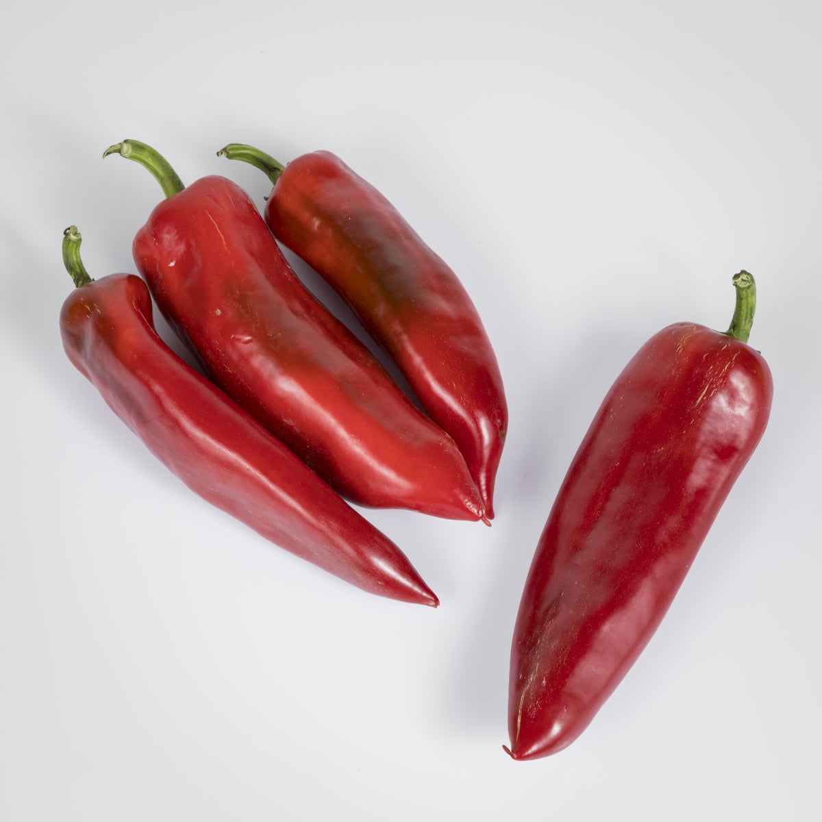 Paprika Spitz 'rot'
