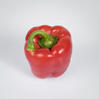 Paprika rot