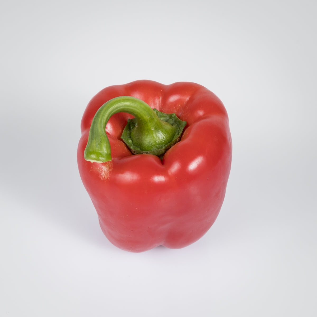 Paprika rot