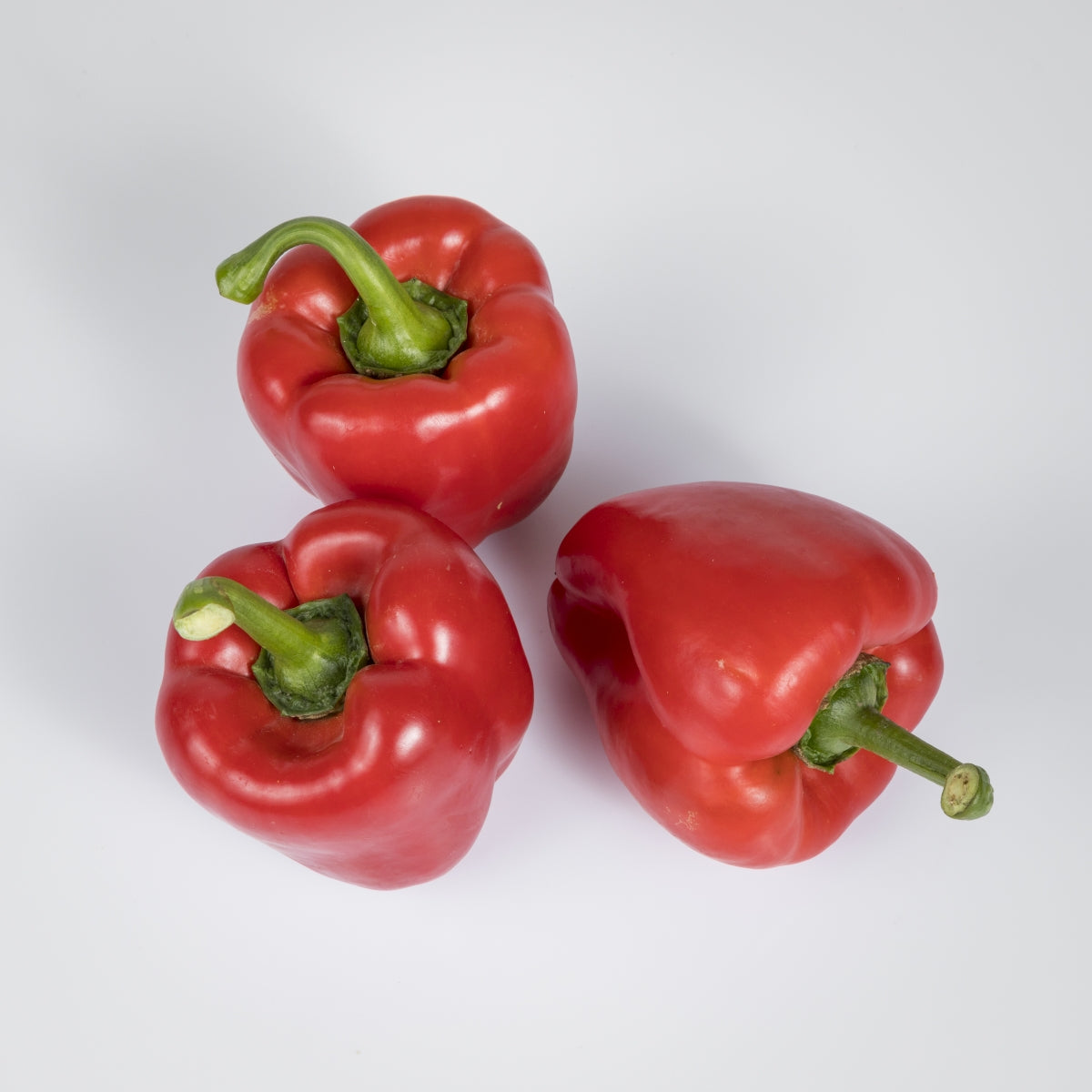Paprika rot