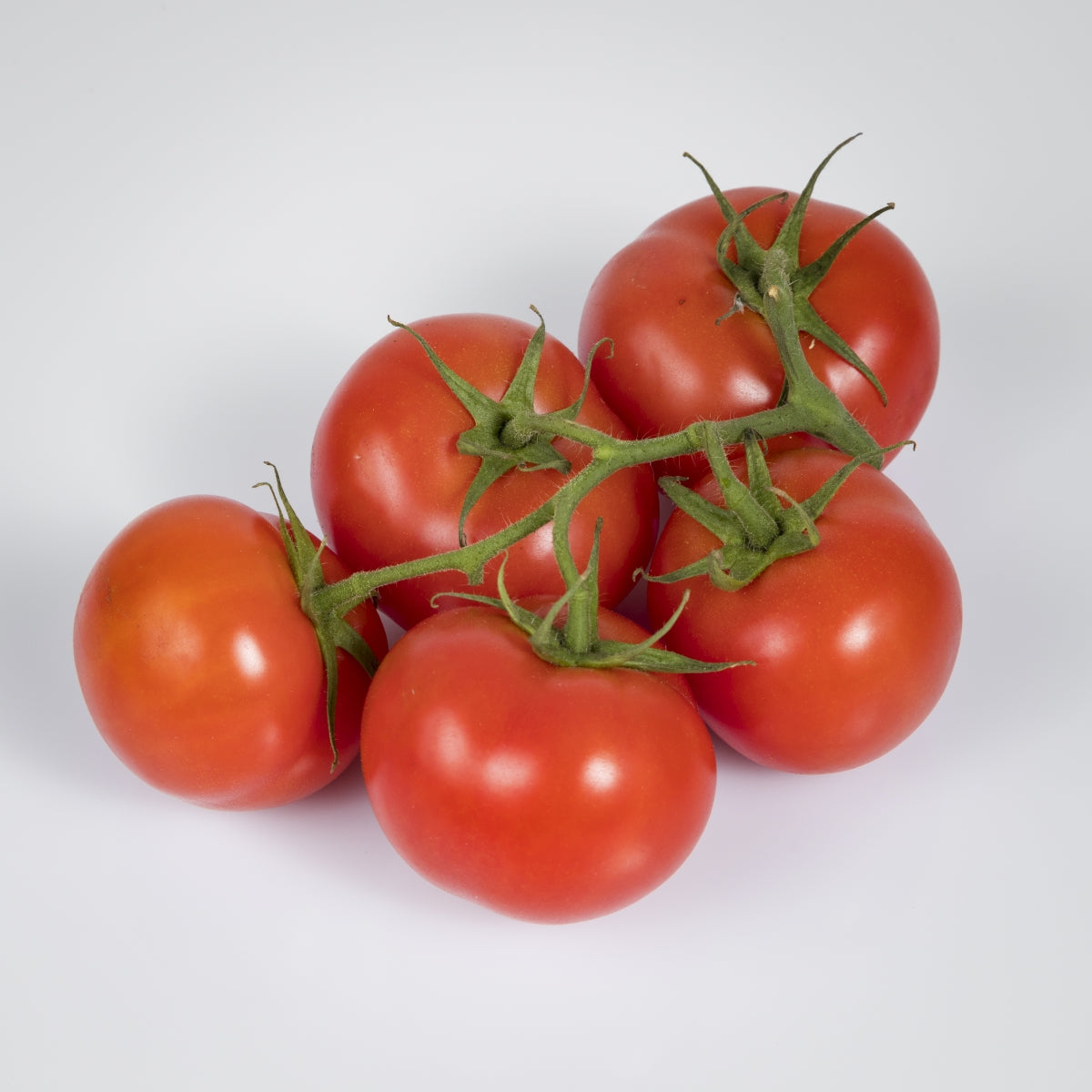 Tomaten 'Rispen'