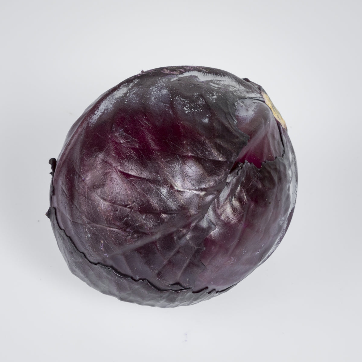 Rotkraut