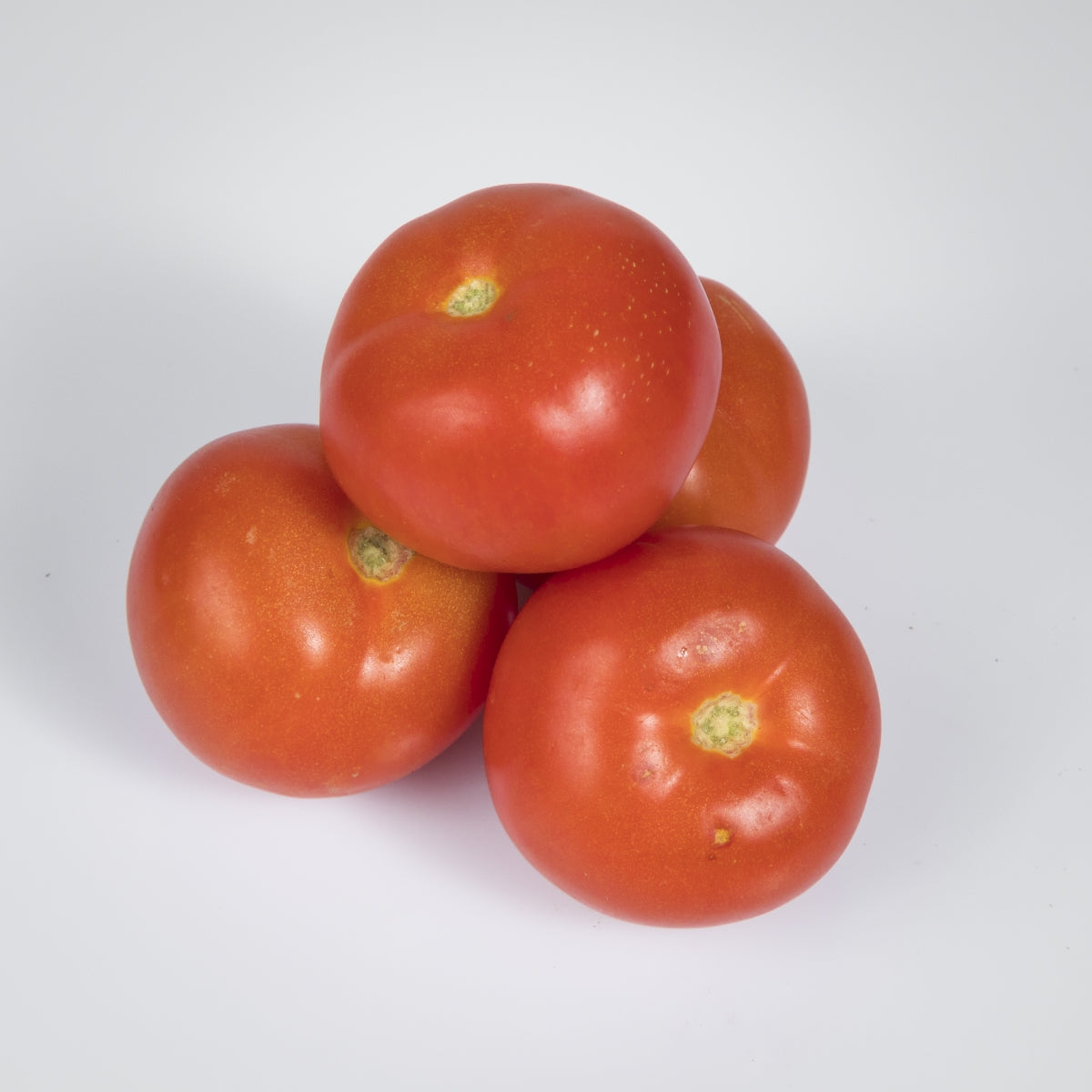 Tomaten