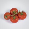 Tomaten 'Fleisch'