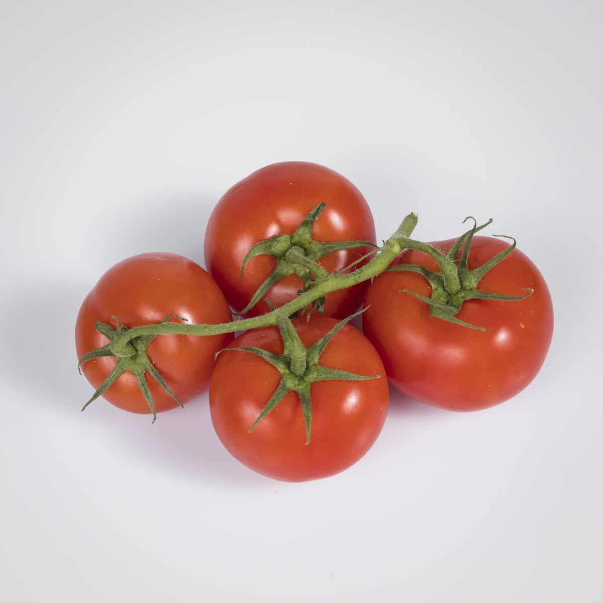 Tomaten 'Fleisch'