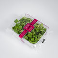 Vogerlsalat