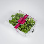 Vogerlsalat
