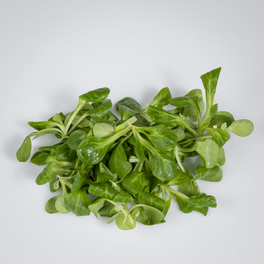 Vogerlsalat