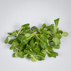 Vogerlsalat