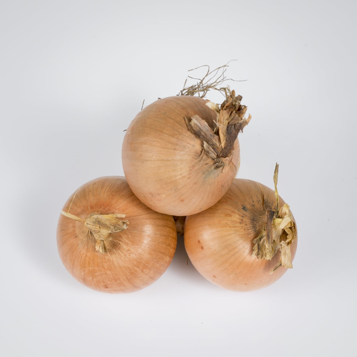 Zwiebel gelb 1kg