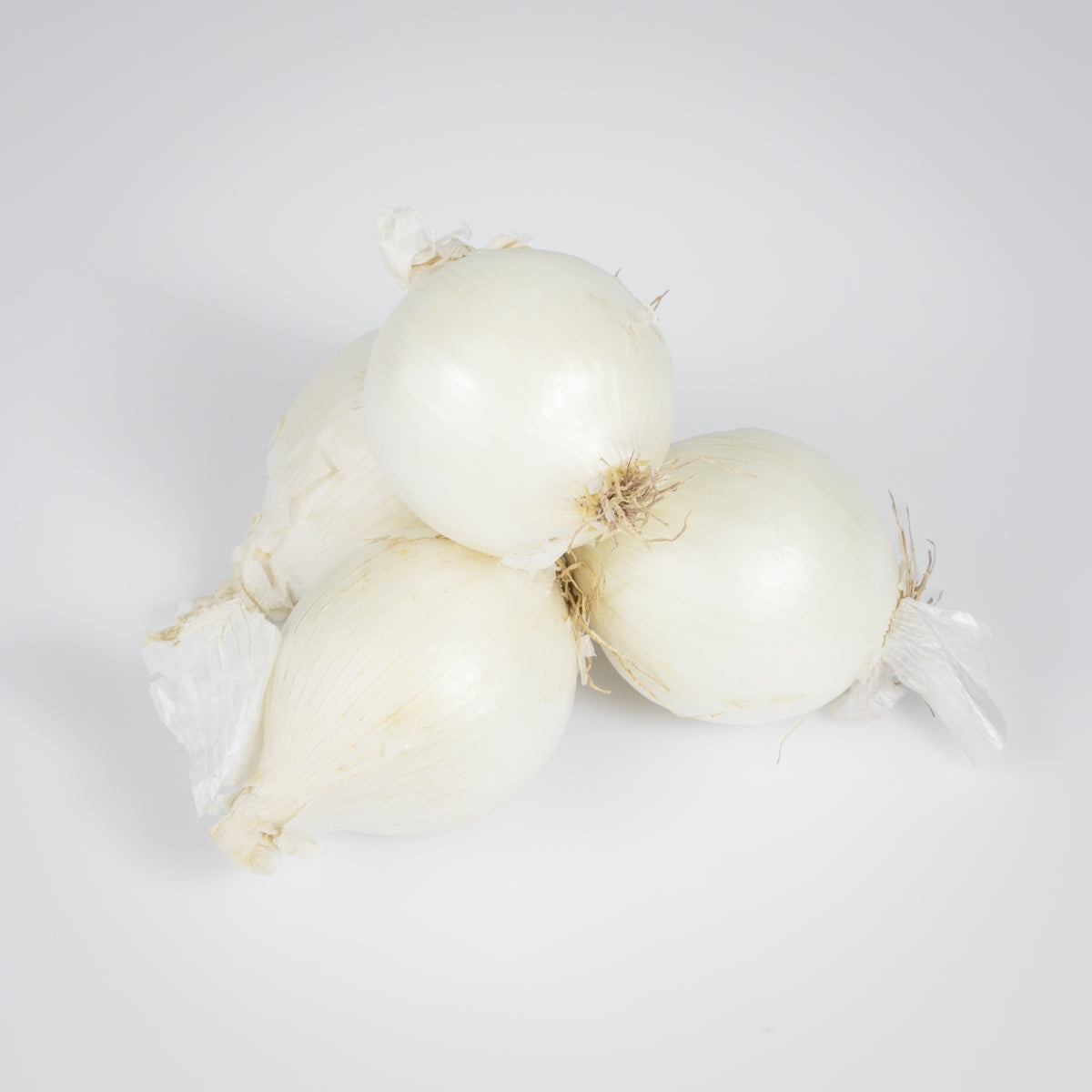Zwiebel weiss